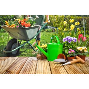 tips tuin