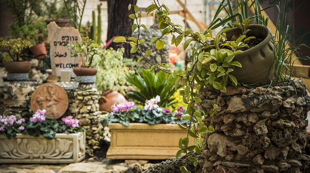 Wat kost het aanleggen van een tuin?