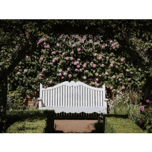 tuin onderhouden