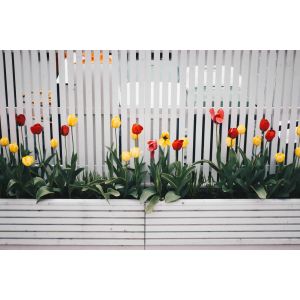 kleine tuin inrichten