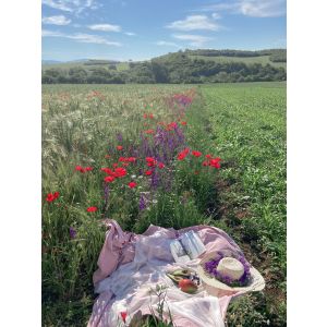 picknick plekken vinden