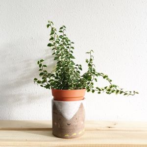 Bloempotten