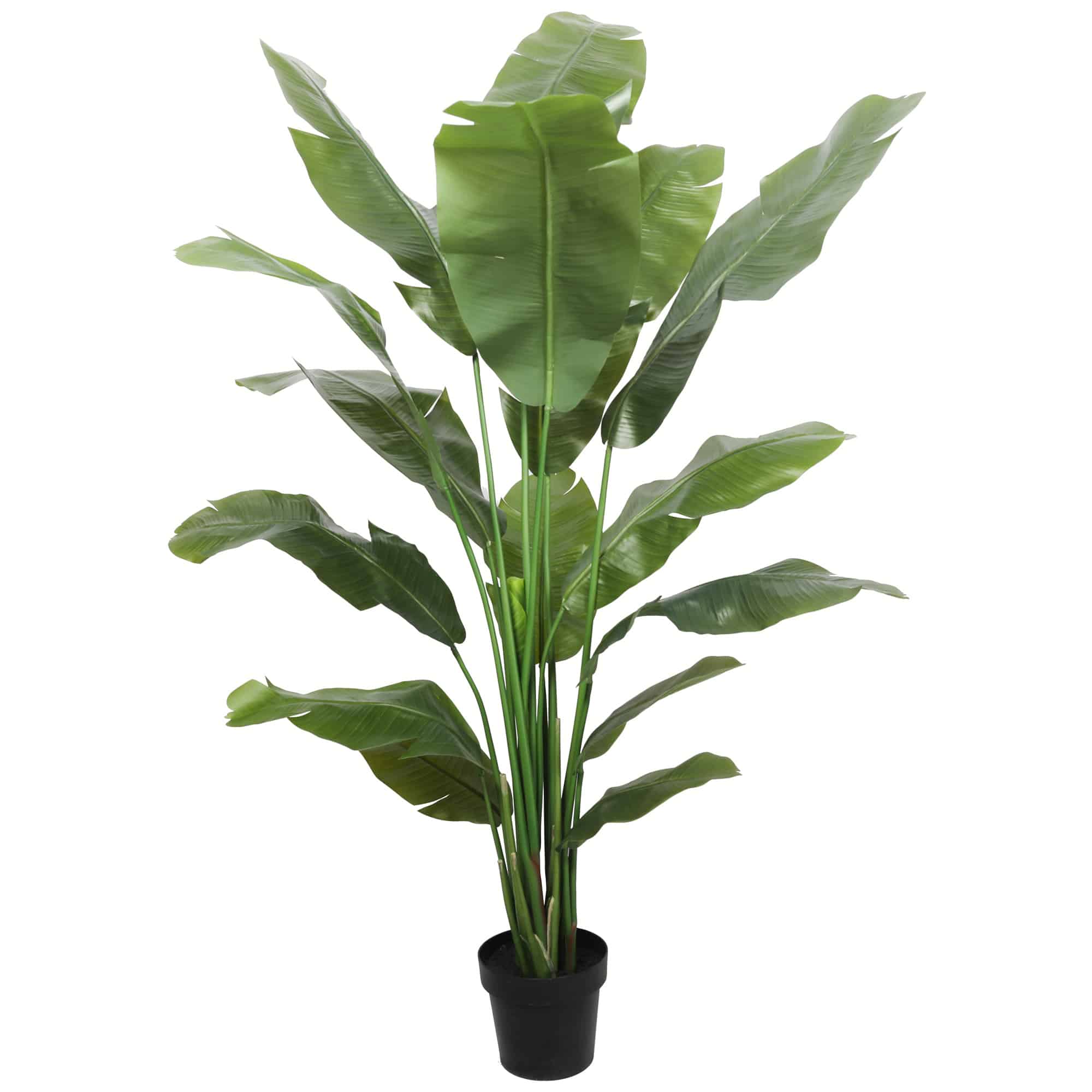 kunstplant bananenboom 180 cm hoog