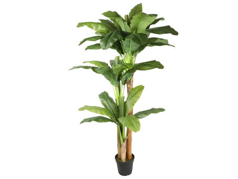 Kunstplant bananenboom 220 cm hoog