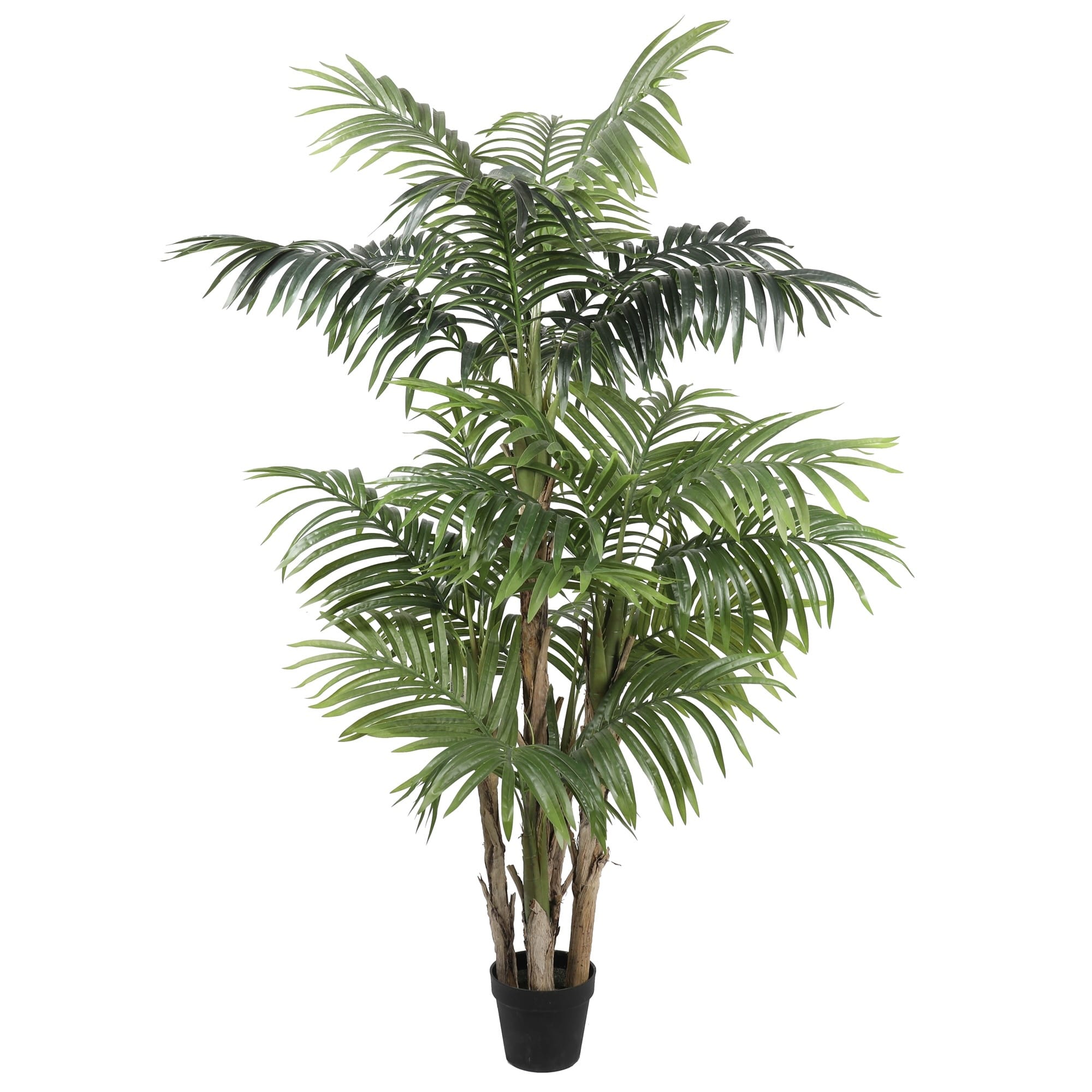 kunstplant paradise acrea palm 190 cm hoog