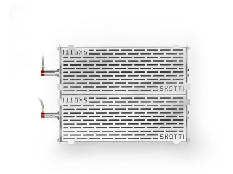 Skotti Grill Max - Opvouwbare gas barbecue met draagtas