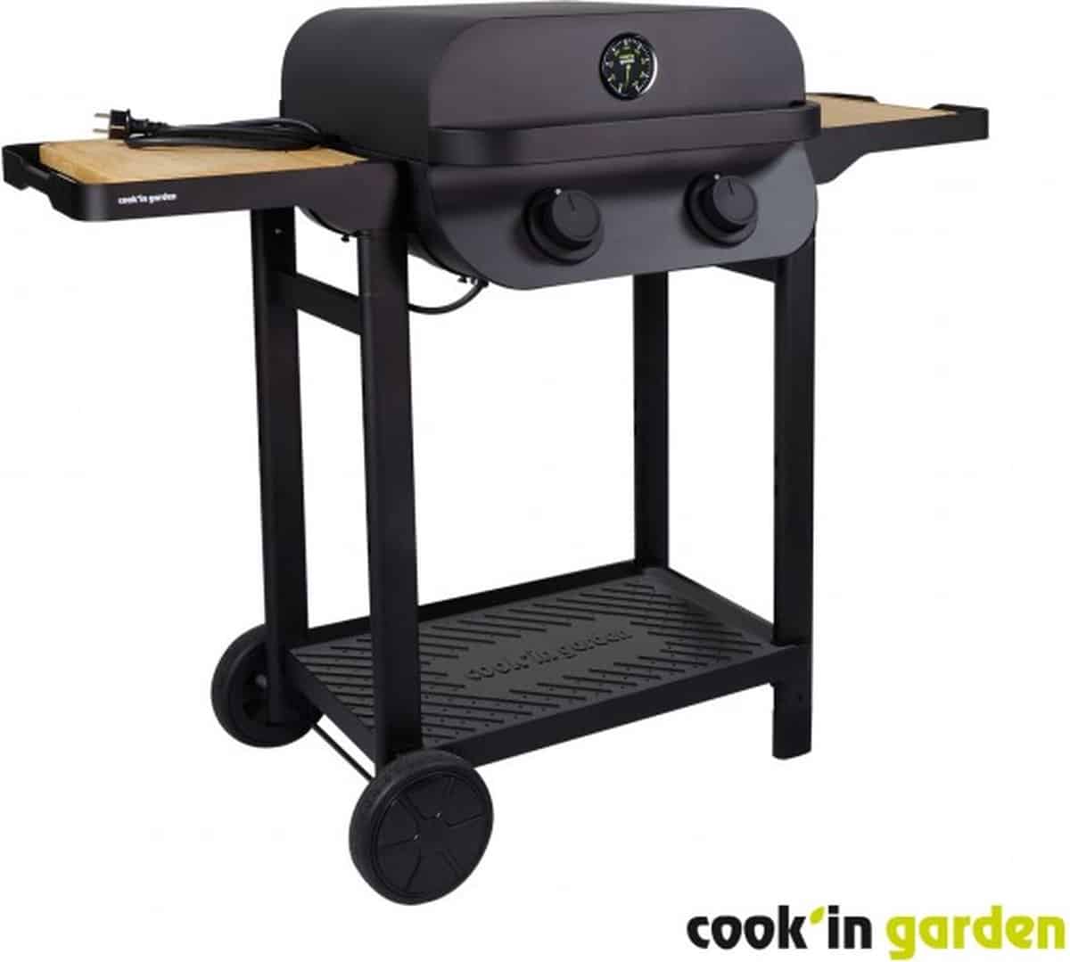 bbq elektrische barbecue flavo 50 sc elec