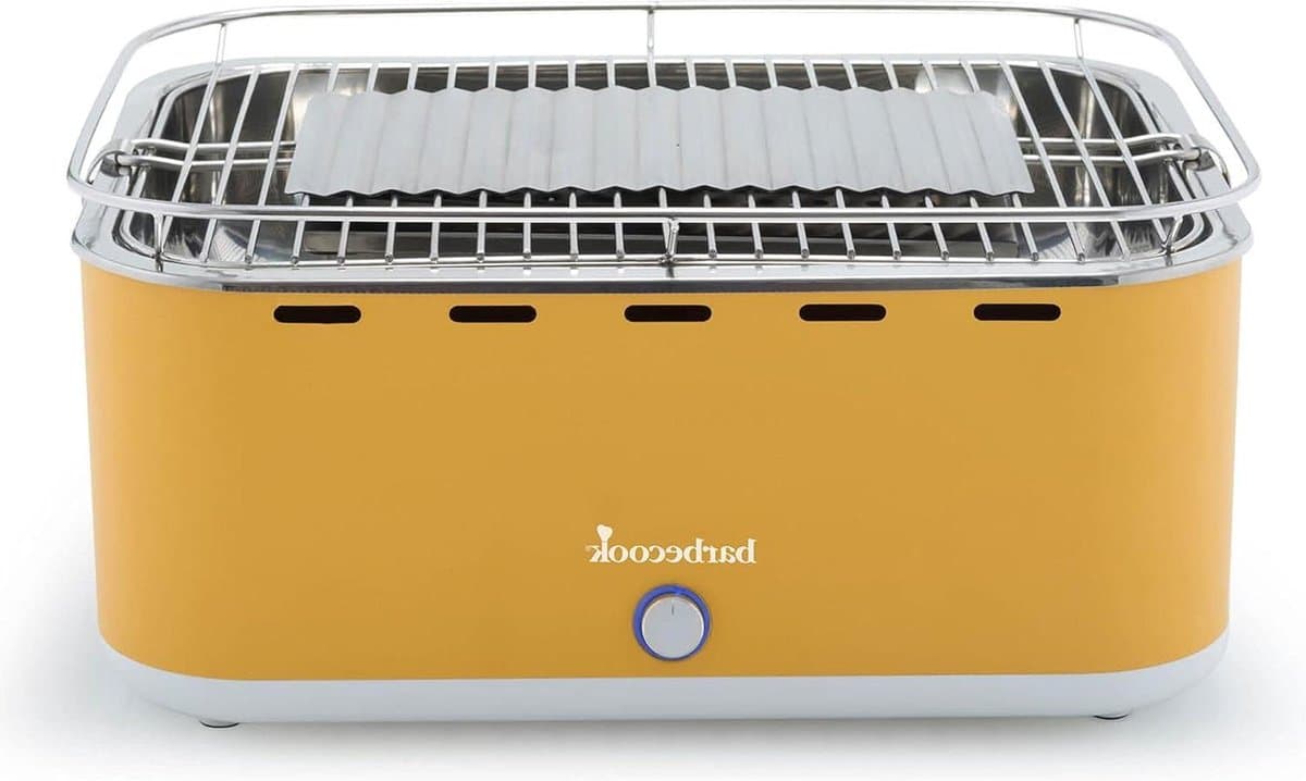 houtskool barbecue met draagtas geschikt voor 6 personen