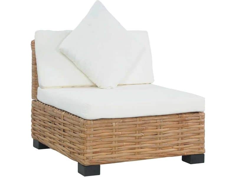 Rotan Loungebank Buiten met Comfortabele Kussens - Natuurlijke Tuinbank