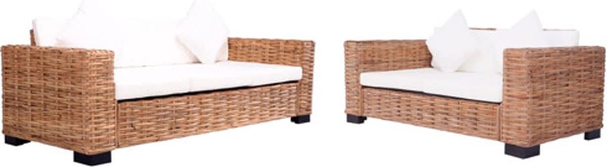 vidaxl 2 delig tuinbankstel met kussens