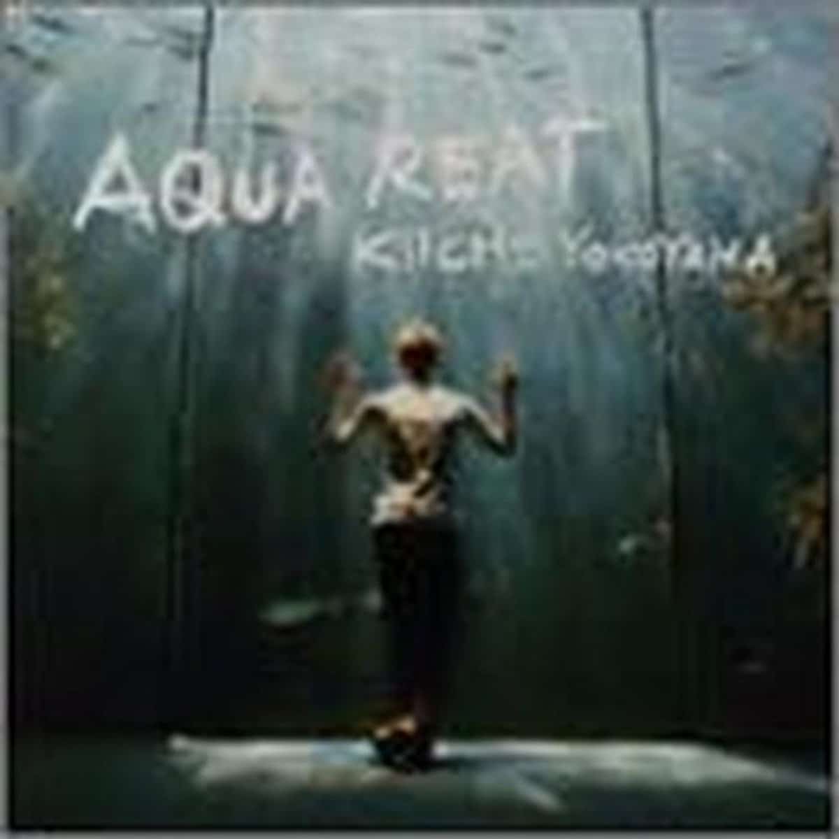 waterdichte opbergbox voor buiten & binnen stevig en duurzaam