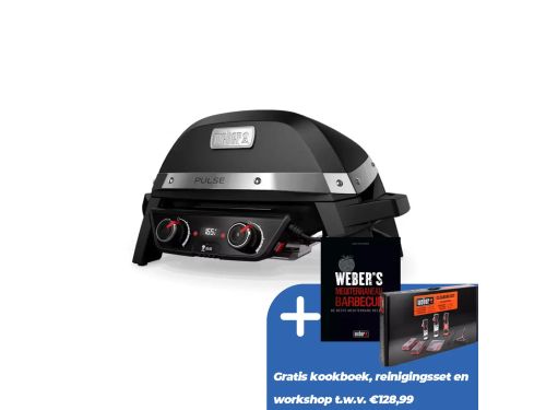 Weber Pulse 2000