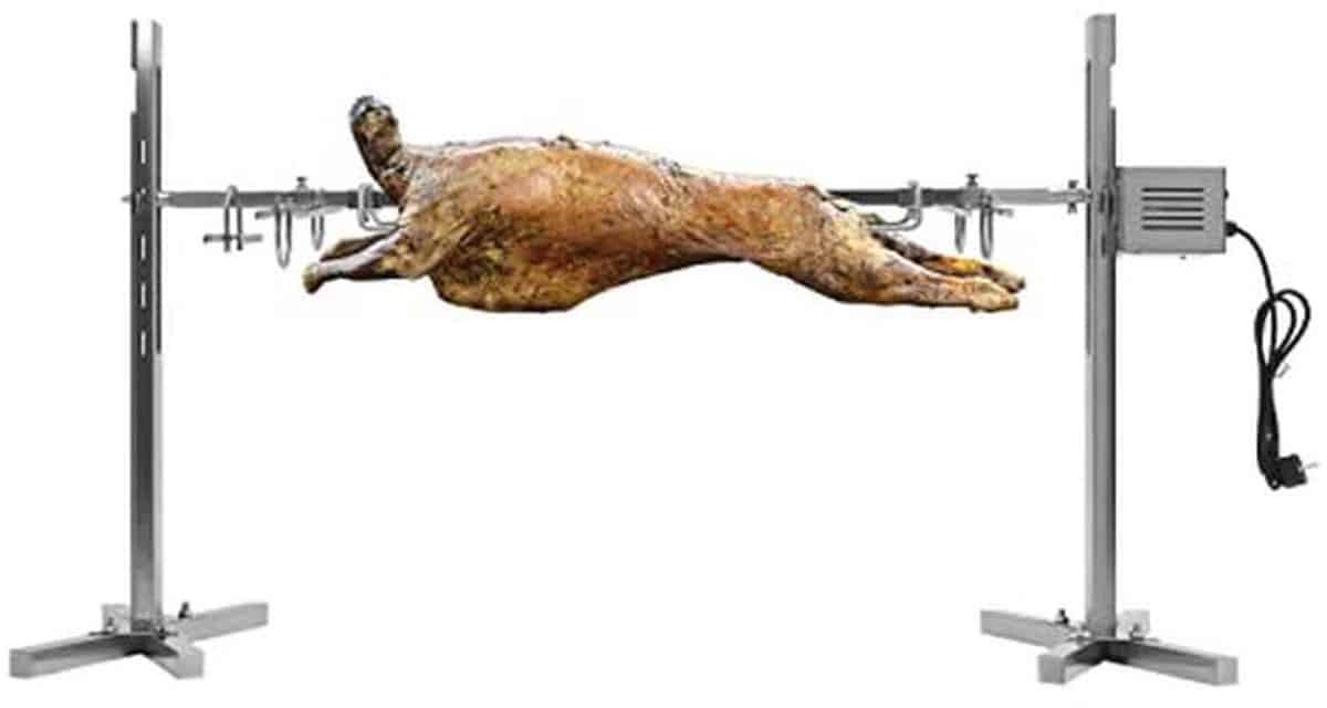 elektrische roestvrijstalen bbq grill met motor voor camping en familie