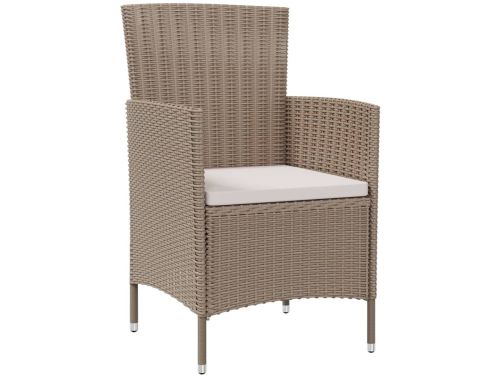 vidaXL Tuinstoelen 4 st met kussens poly rattan beige
