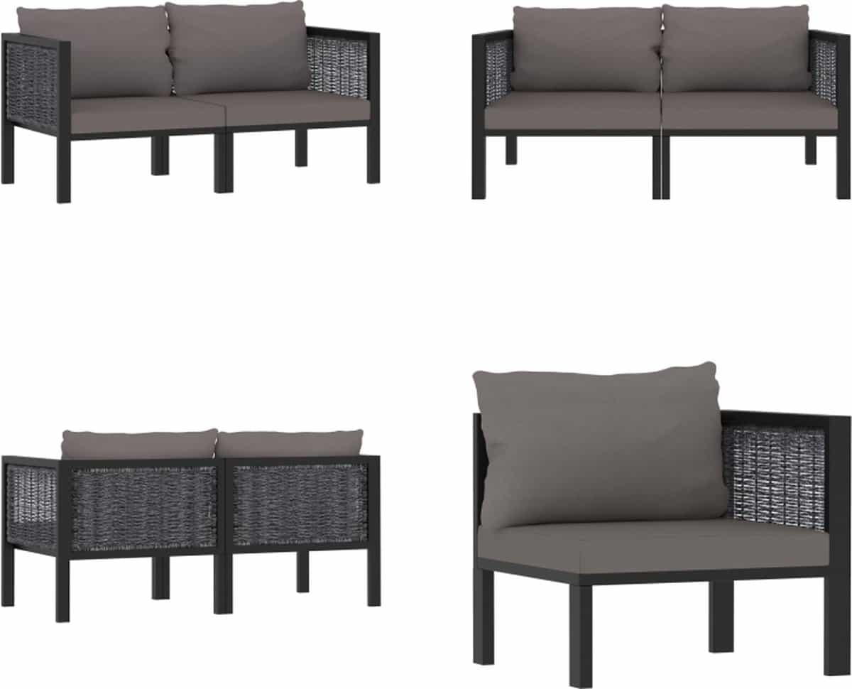 vidaxl tweezitsbank met kussens poly rattan antraciet tweezitter