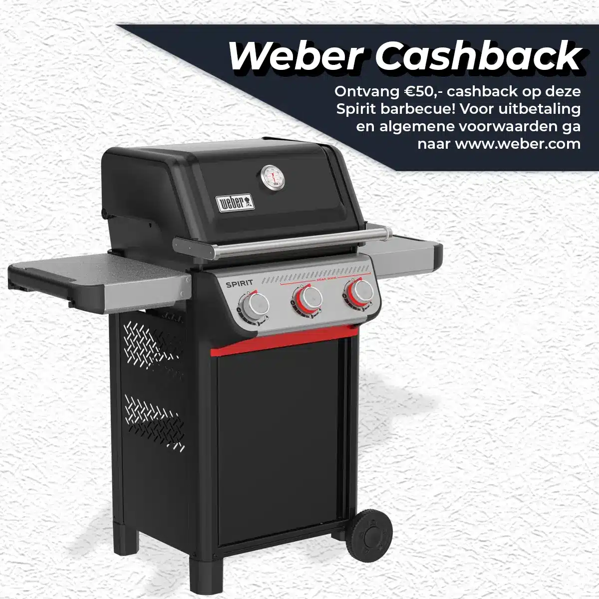 weber spirit e 325 gasbarbecue gas bbq e325 barbecue zwart gbs