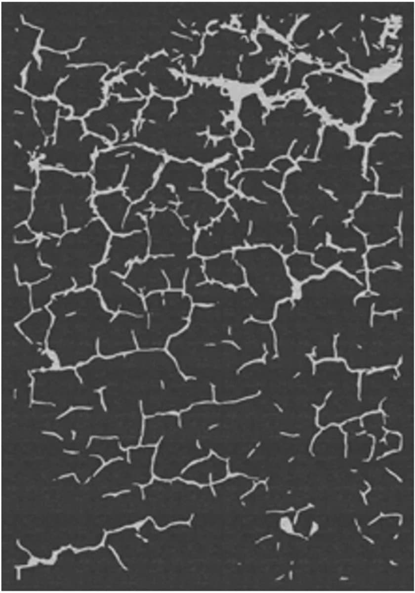 human comfort avord buitenkleed 240 x 380 cm