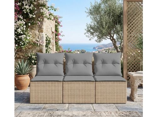 Luxe 3-Zits Tuinbank met Kussens 165 x 62 x 69