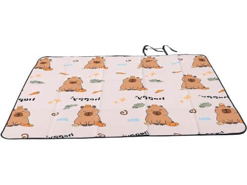 Picknickdeken - Buitenkleed - Comfortabel Zitten - Waterdicht Ontwerp