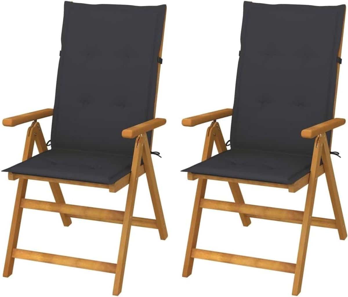 tuinligstoelen 2 stuks lounge stoelen buiten ontspannen