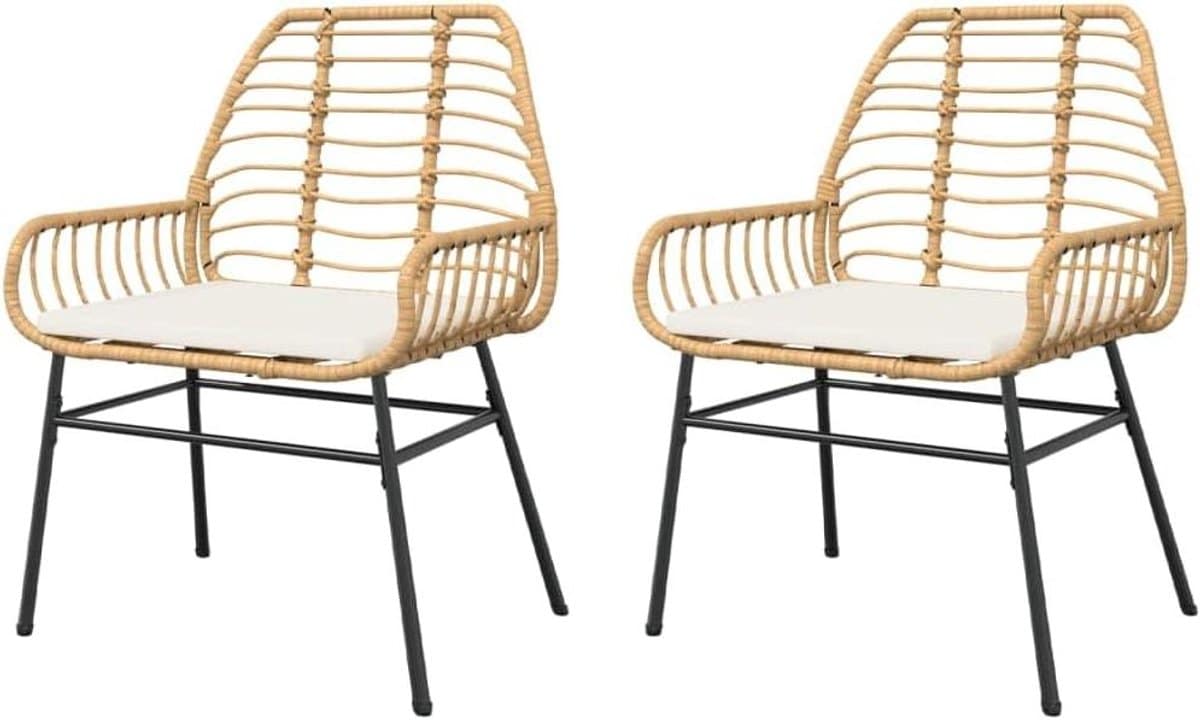 tuinstoelen 2 stuks lounge stoelen buiten zitten