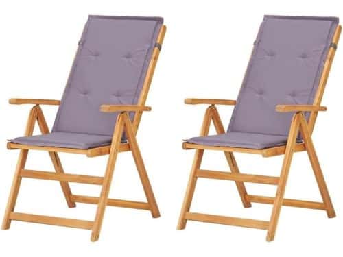 Verstelbare Tuinstoelen - Lounge Stoelen - Buiten Ontspannen - 5-voudige