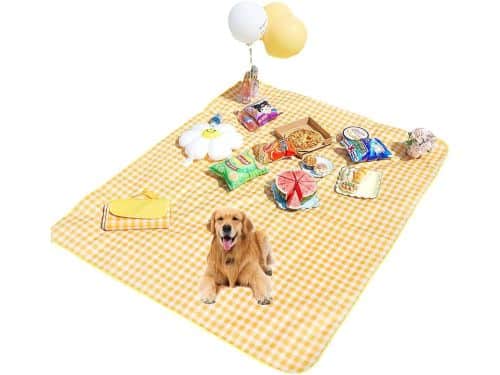 Picknickdeken - Campingkleed Buitenkleed - Buitenactiviteiten - Waterdichte Bodem
