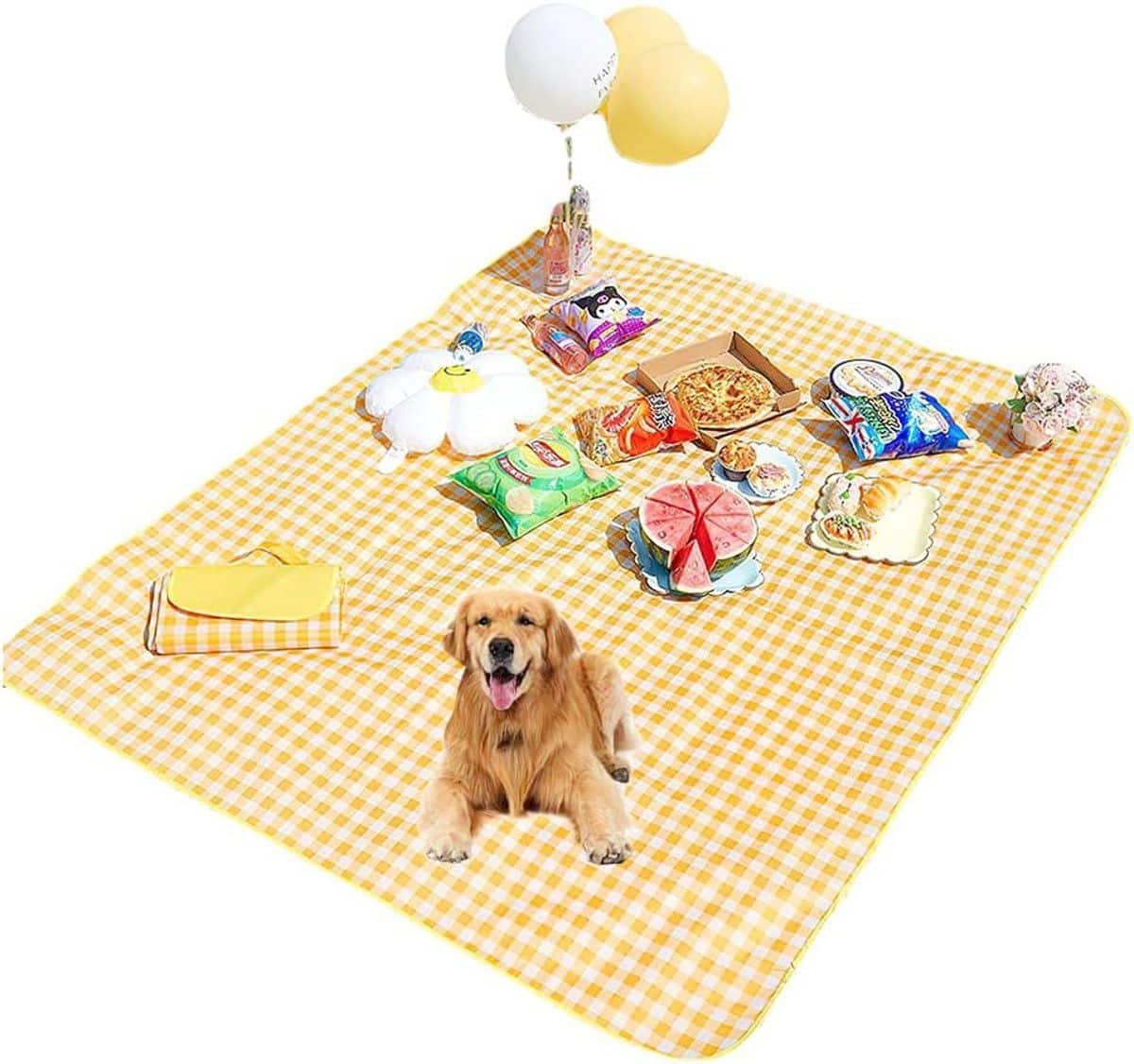 picknickdeken campingkleed buitenkleed buitenactiviteiten waterdichte bodem