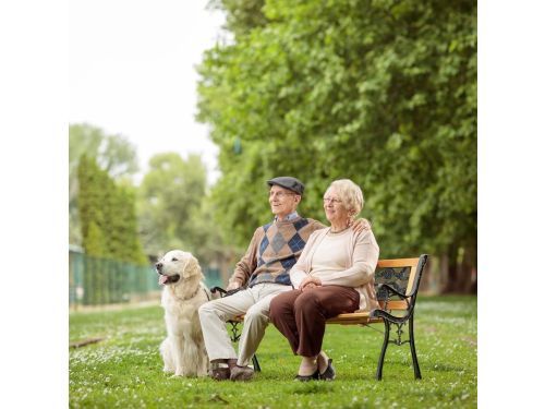 Parkbank Hout - Tuinbank Terrasbank - Buiten Zitten - Gietijzeren